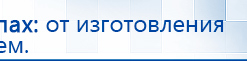 СКЭНАР-1-НТ (исполнение 02.2) Скэнар Оптима купить в Черногорске, Аппараты Скэнар купить в Черногорске, Дэнас официальный сайт denasolm.ru